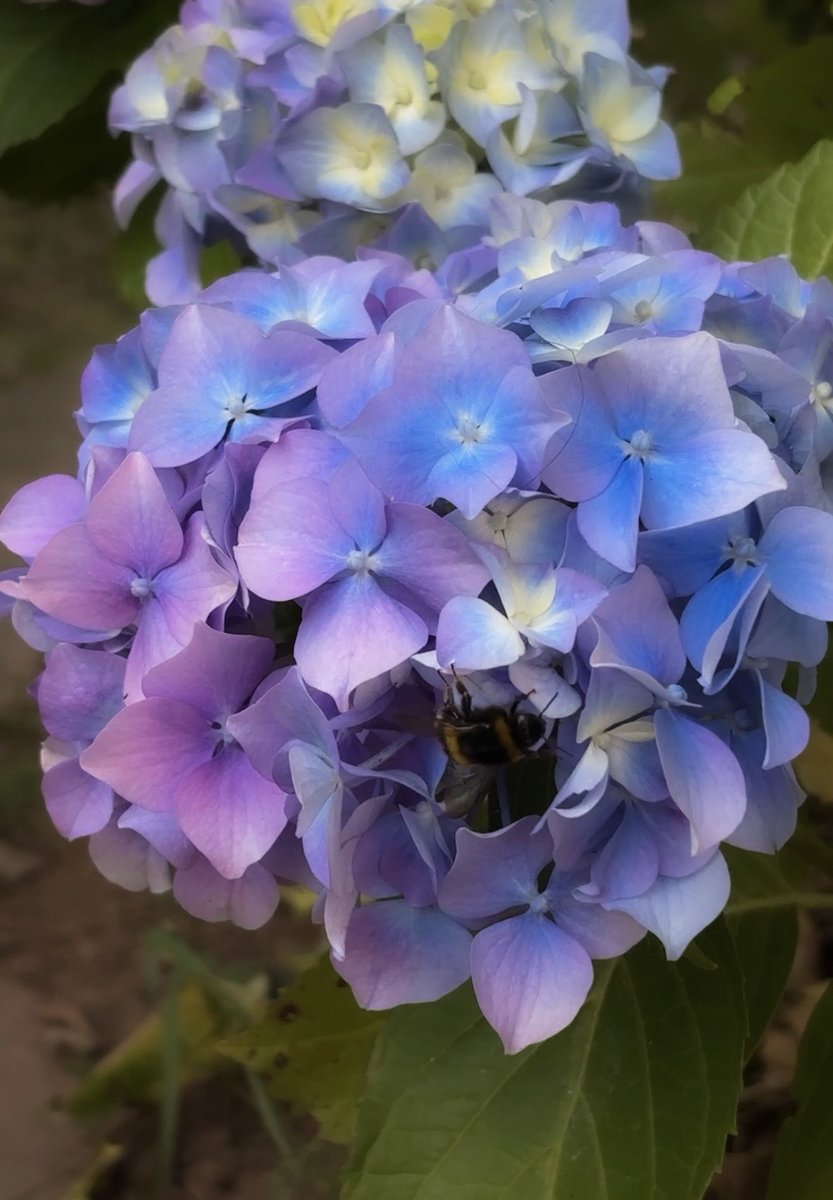 girlnthewoods's tweet image. summer