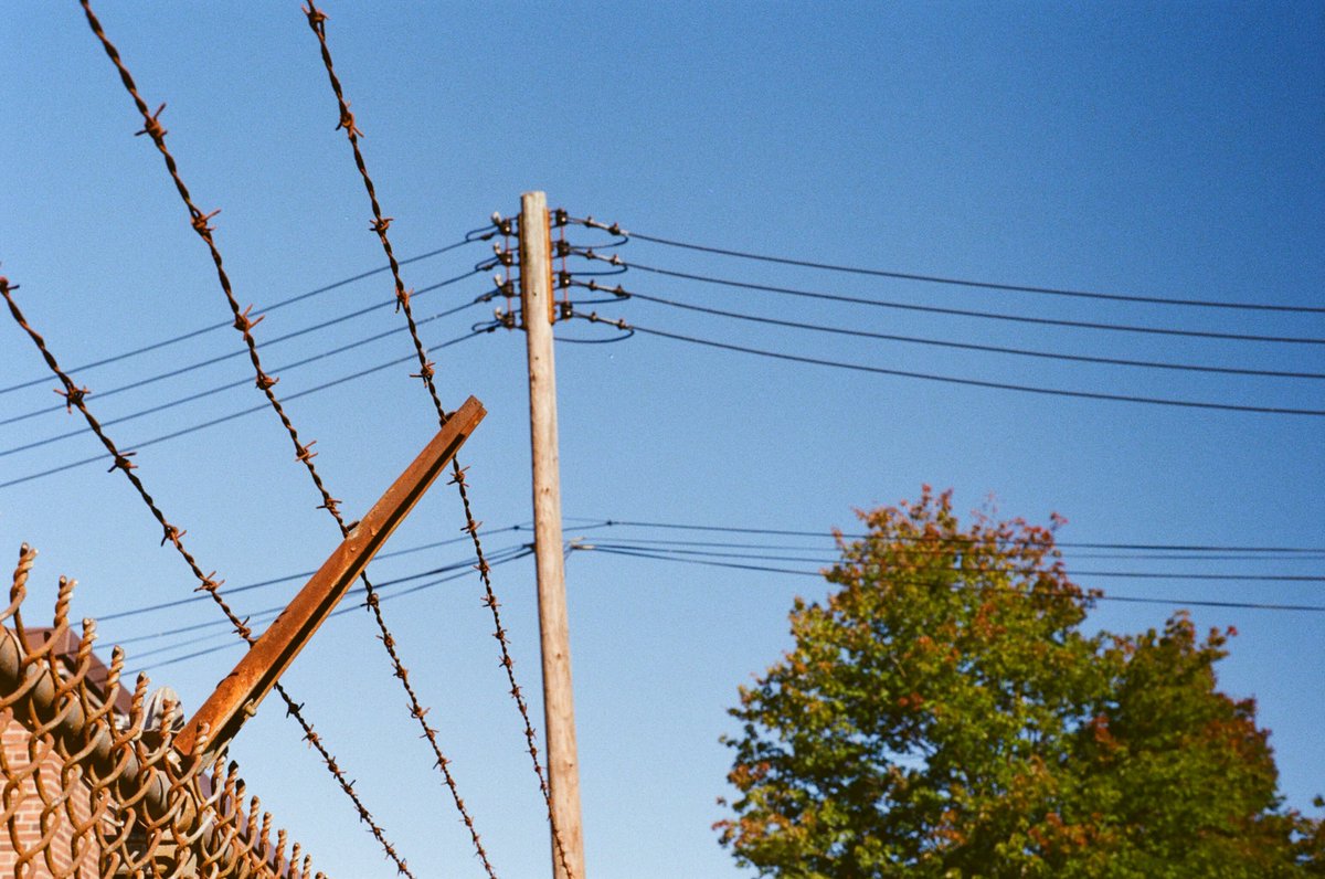 SimulationRot's tweet image. 