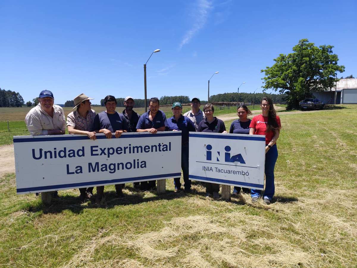 ✅ Con apoyo de <a href="/INIA_UY/">INIA URUGUAY</a> , <a href="/ANIIuy/">ANII - Uruguay</a> , <a href="/SUL_uy/">SUL</a> , Facultad de Medicina y coordinación del Ing. Agr. Ignacio De Barbieri, recibimos a Brad Hine (<a href="/angusaustralia/">Angus Australia</a> , ex <a href="/CSIRO/">CSIRO</a> ) y Amy Bell (<a href="/CSIRO/">CSIRO</a> , PhD #UniversityOfNewEngland).
👇