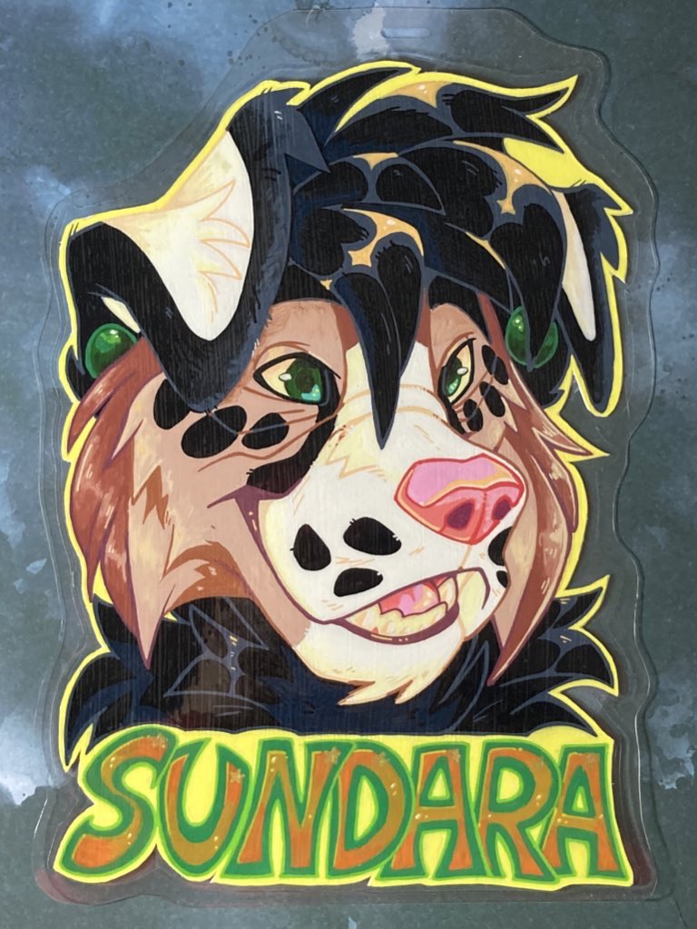 Marsh 🐾 tweet media