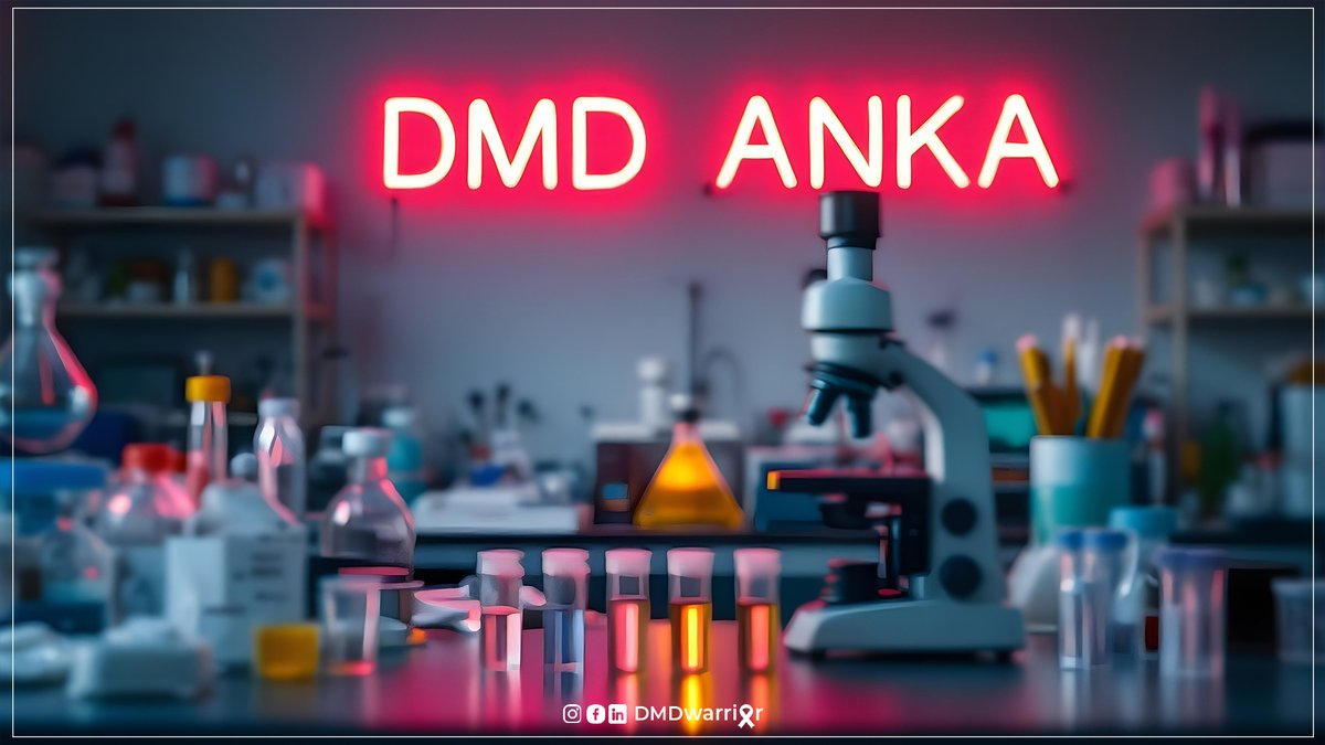 dmdwarriorcom's tweet photo. Ali Taghizadeh Announces DMD ANKA mRNA Therapy, Currently in Clinical Trial in Turkiye

DMD ANKA mRNA therapy, currently under development for Duchenne muscular dystrophy in Turkiye, was announced by Associate Professor Dr. Ali Taghizadeh.

👉Read More: https://t.co/FwUBRAFUYO https://t.co/li33de5f7i