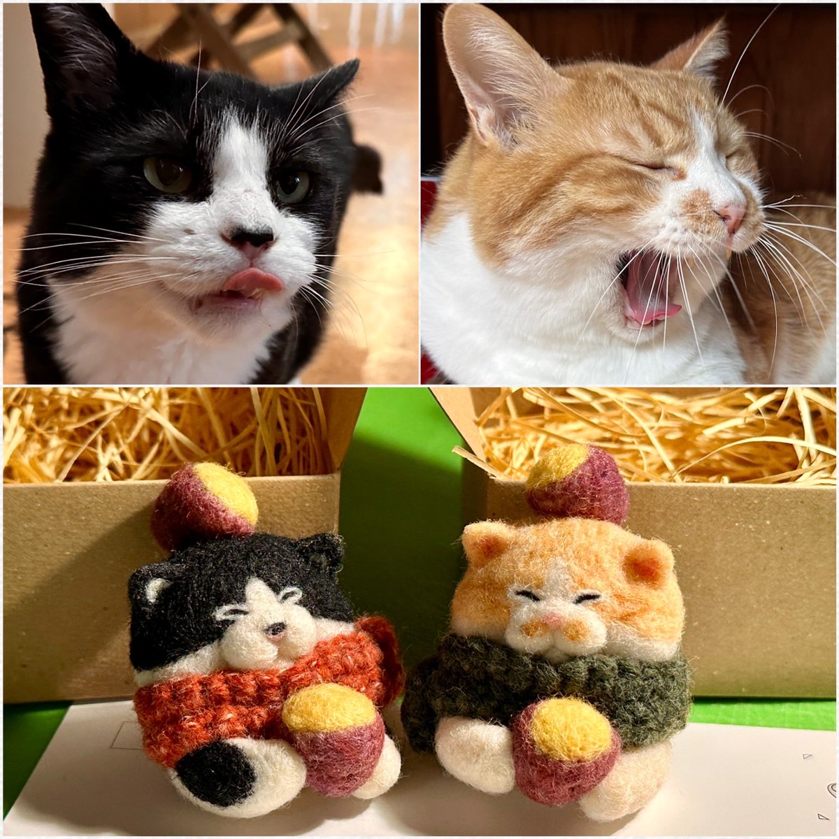 miraclebench's tweet image. #お気に入りの作品や過去作品をアップして行こう

焼き芋猫さんブローチ🐈

#羊毛フェルト