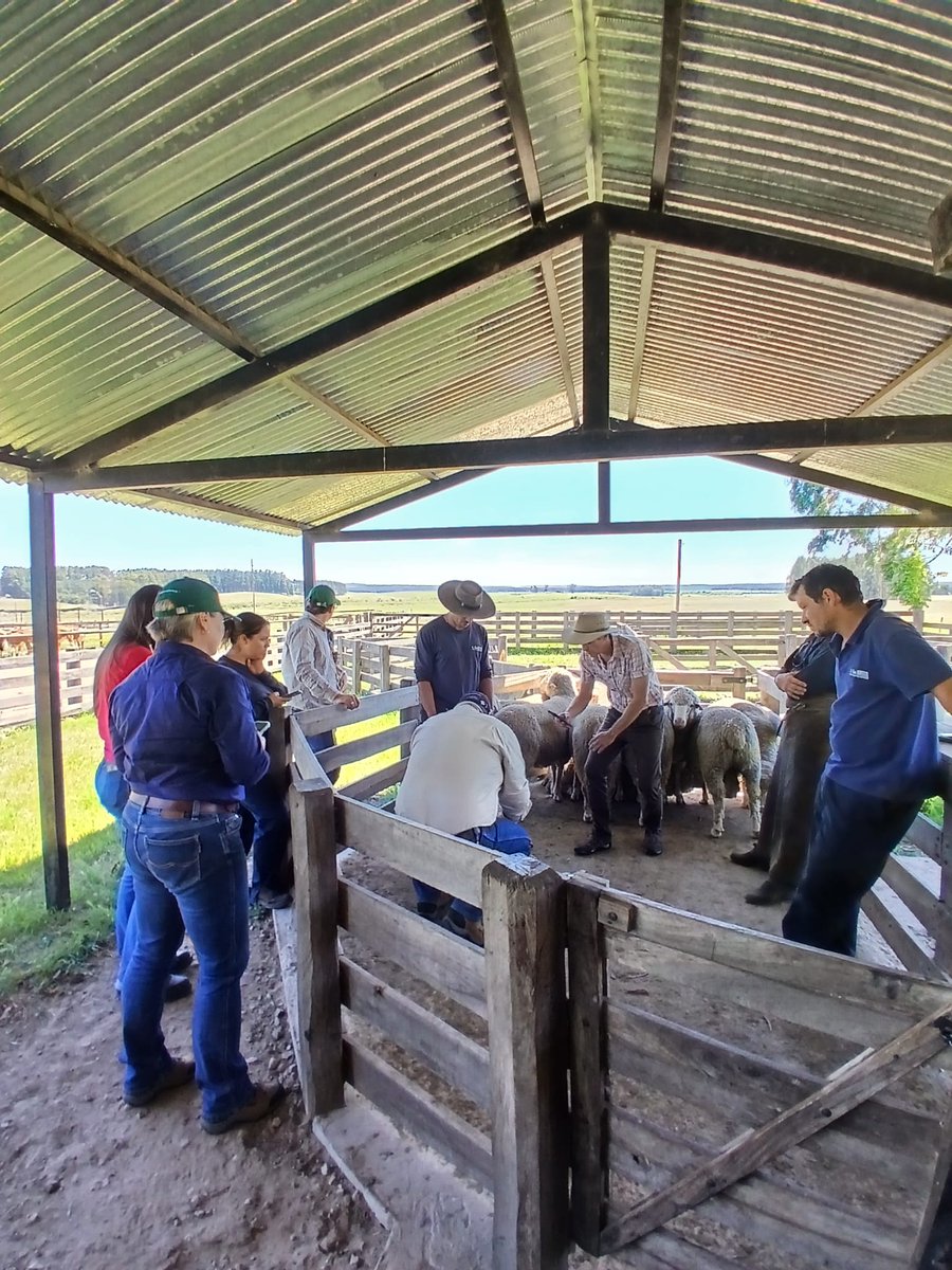 🌍 La visita incluyó Tbó y Las Brujas, <a href="/AngusUruguay/">Angus Uruguay</a> e intercambio entre instituciones.
👩‍🔬 Los expertos dictarán un Simposio sobre #Inmunología.
🌱 Innovación + Ciencia + Ganadería = Futuro sostenible