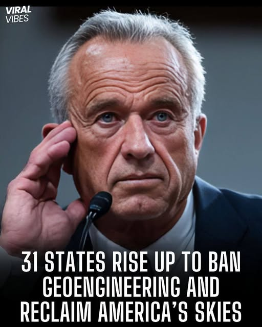 GodsAmericans's tweet image. ~ A nationwide rebellion is unfolding and I hope people are paying attention ~ The Us is better under this Administration and there's too much proof to deny this
~ mgf ~ #RFKjr #GreatWork #Geoengineering #reclaim #ourskies