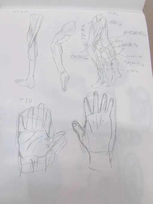 【#日々描く #絵次郎 252日目】 2025.3.9〜 ・モルフォ人体 p230 ・手の描き方 p10 ・ポーズデッサン集に変更 ・今日の模写 ドンペン