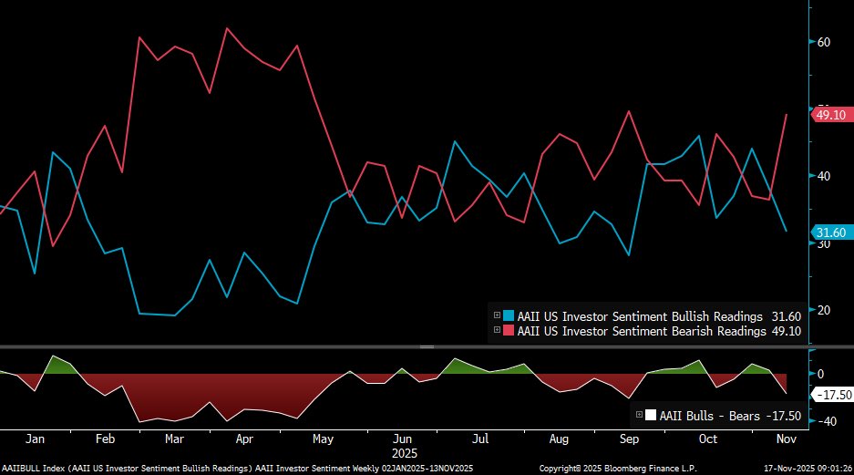 Liz Thomas tweet media