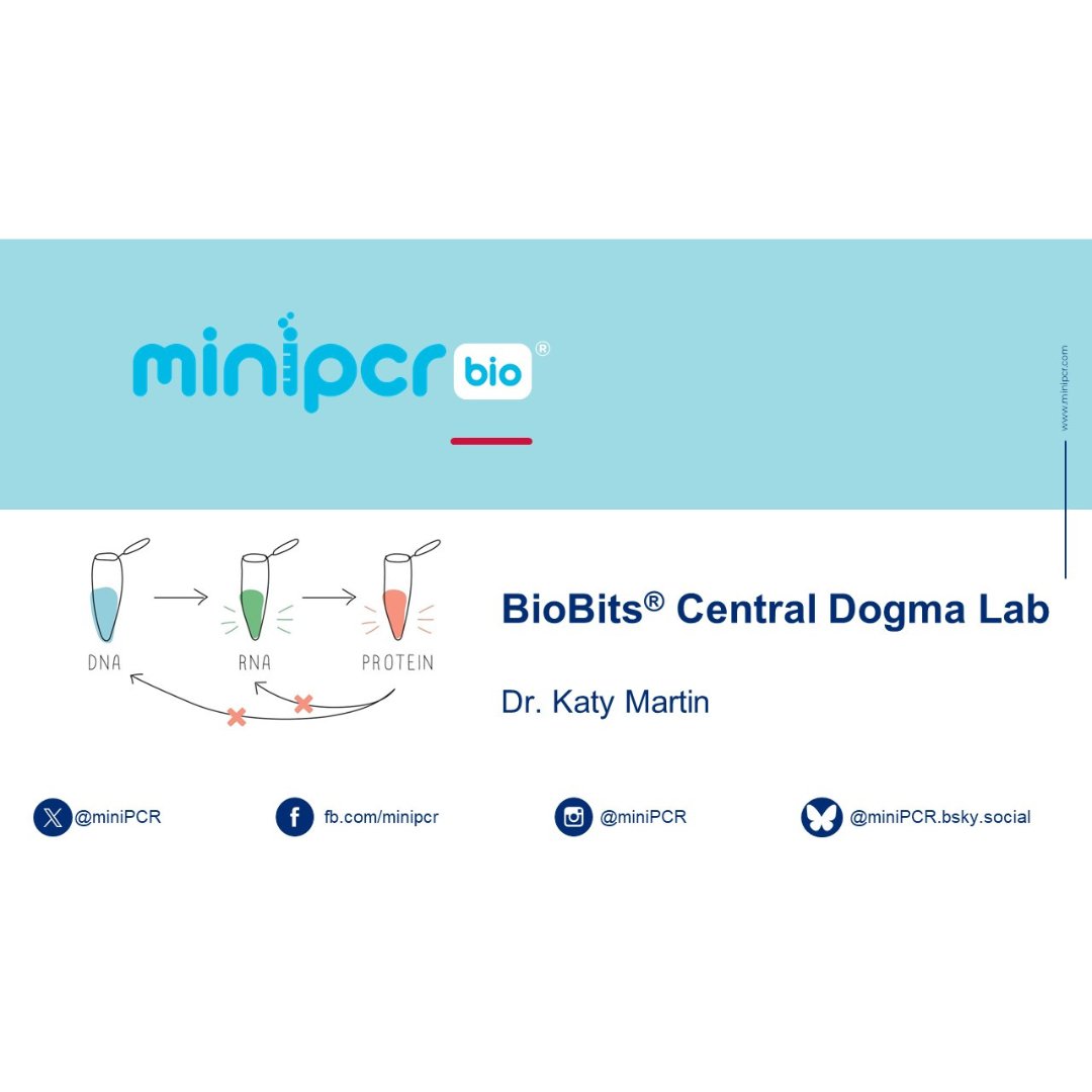 miniPCR's tweet image. 🧬Join today&apos;s free webinar at 3PM ET!

From hands-on experimentation to virtual learning — get live feedback on everything new with bringing gene expression content to your classroom using the BioBits® Central Dogma Lab!

Watch later today here:
youtu.be/FbUd37UCLUY