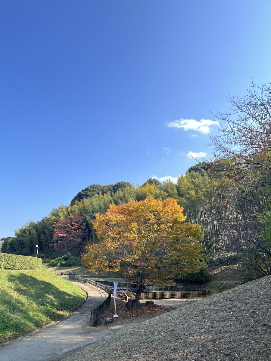 今日帰ってきたのに、また奈良に行きたくなってて、困る。