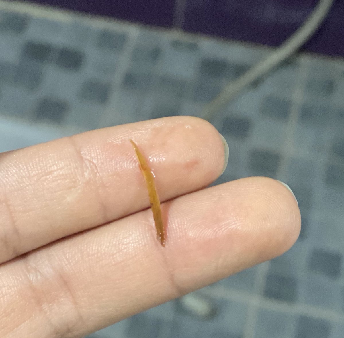 johanicool's tweet image. خەریک بوو پڵاوم بخۆن🪦