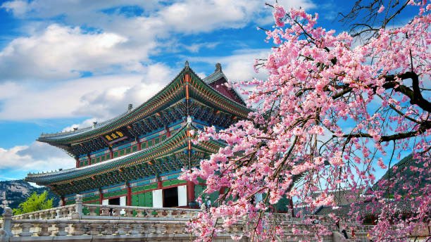 odbavc's tweet photo. Seoul 🇰🇷 shows what coordinated innovation can deliver.

At DMTS 2025, @odbavc  joined panel &amp; met founders building AI and fintech systems engineered for real-world scale and compliance.

Korea proves it, evidence beats noise.
That’s the discipline we back.

#DMTS2025 #AfriAsia https://t.co/0LnRQu4Rgv