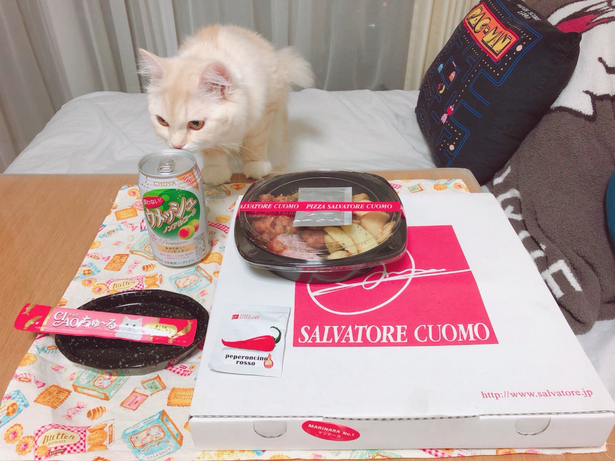 ふたば() tweet media