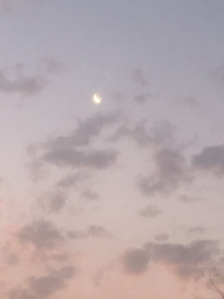 ha4__ay's tweet photo. 🐑☽

おめでとう⸝⸝
#明くる夜の羊 https://t.co/VrToxUoJgj