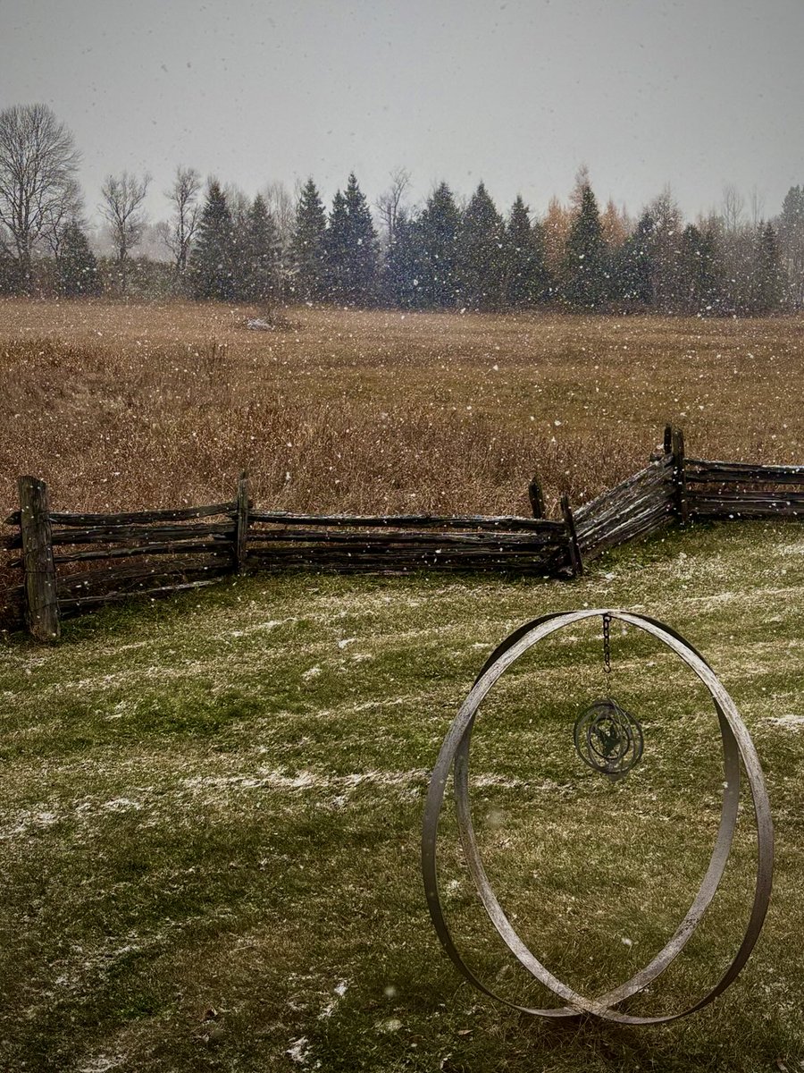 Breakfast window….