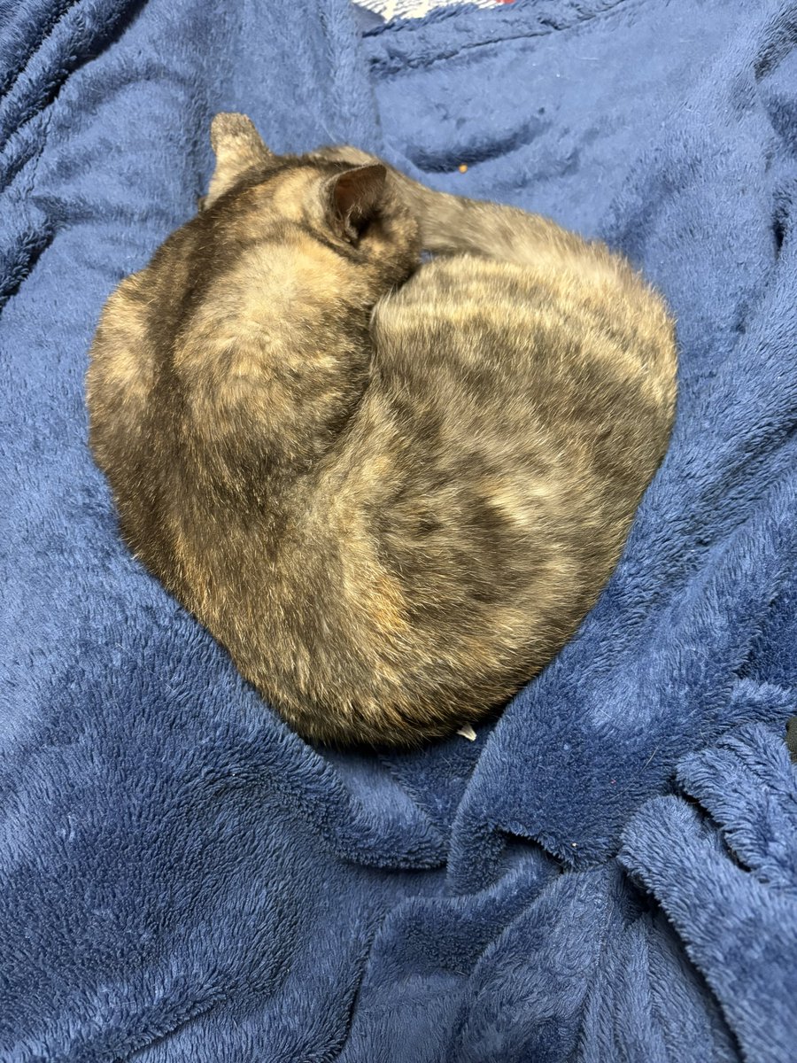 おやすみなさい