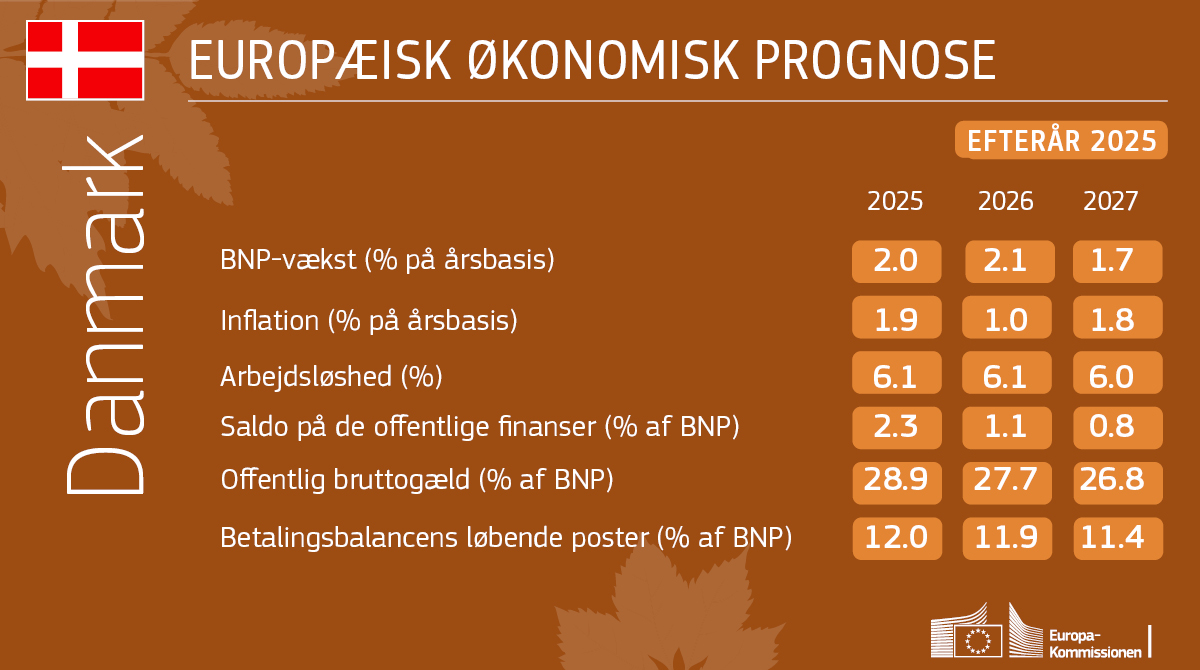 EU i Danmark tweet media