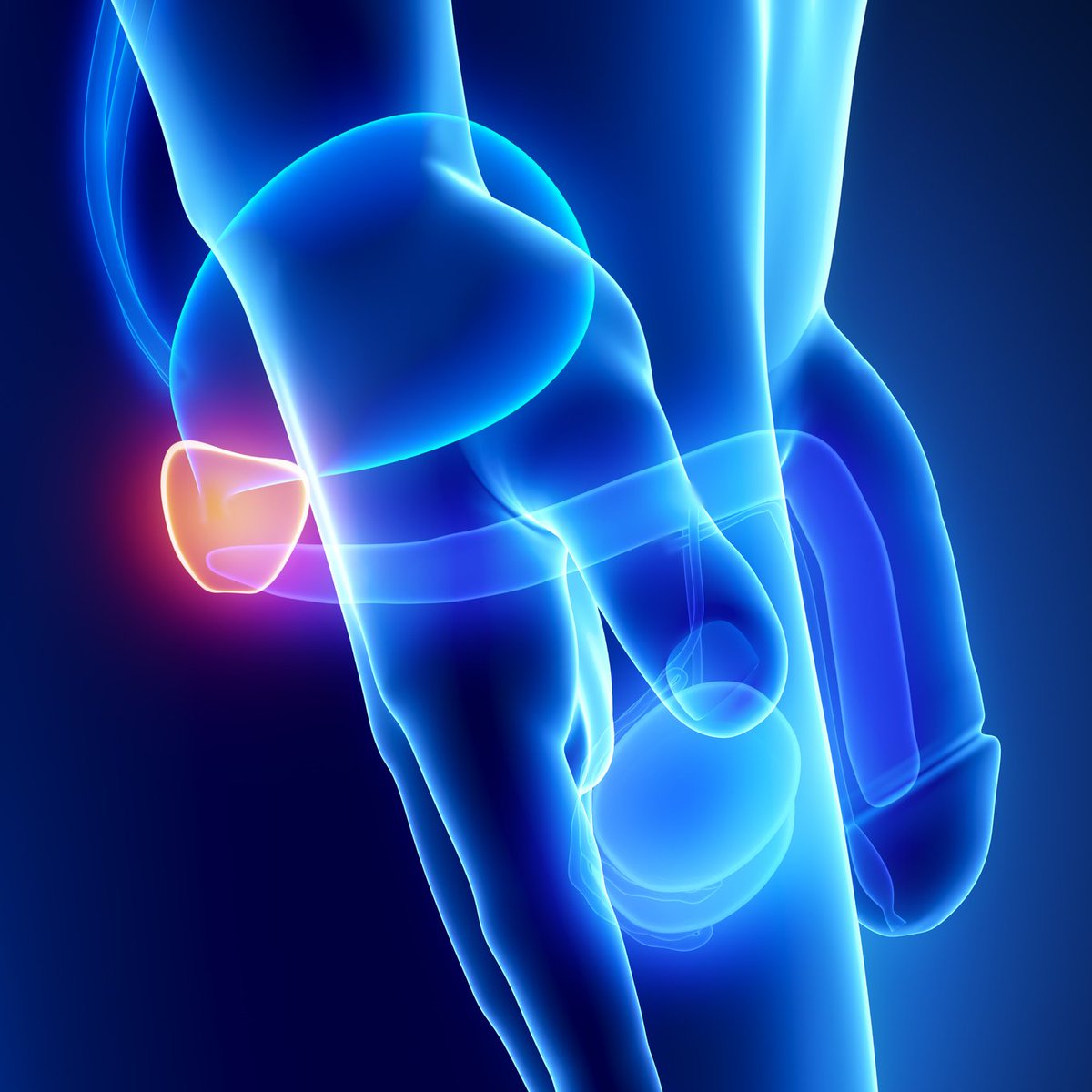 republiqueBRA's tweet image. 🩺 🏳️‍⚧️ “Mulheres trans precisam entender que possuem próstata e possuem um organismo que precisa ser cuidado de forma adequada”, diz Laerte sobre seu diagnóstico de câncer.