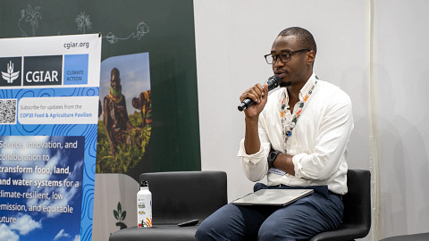 CGIAR's tweet image. 🌍 How do we close the #ClimateFinance gap for smallholder farmers?

At #COP30 @cgiarclimate and partners introduced their work under the 2025-2030 CGIAR Research Portfolio.

🎫 Learn more on.cgiar.org/4nZ6hdm
📺 Watch on.cgiar.org/3JBZ9FO

@BiovIntCIAT_eng @IFPRI @irri