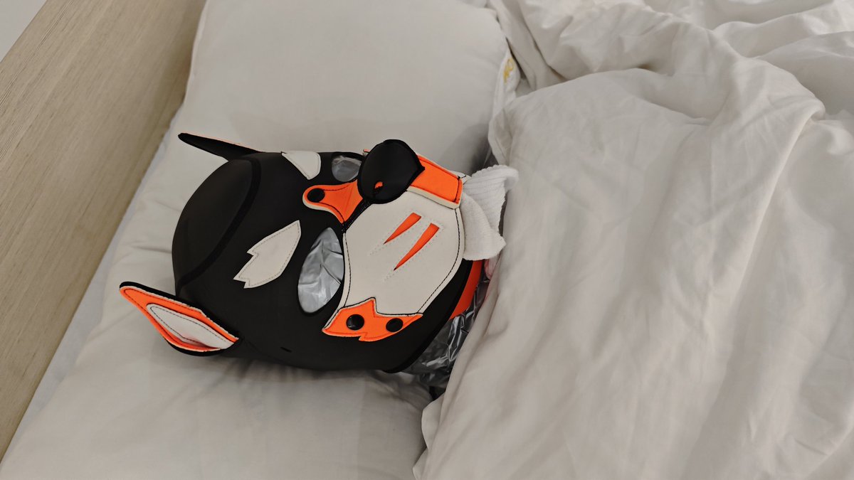 蓝蓝byl tweet media