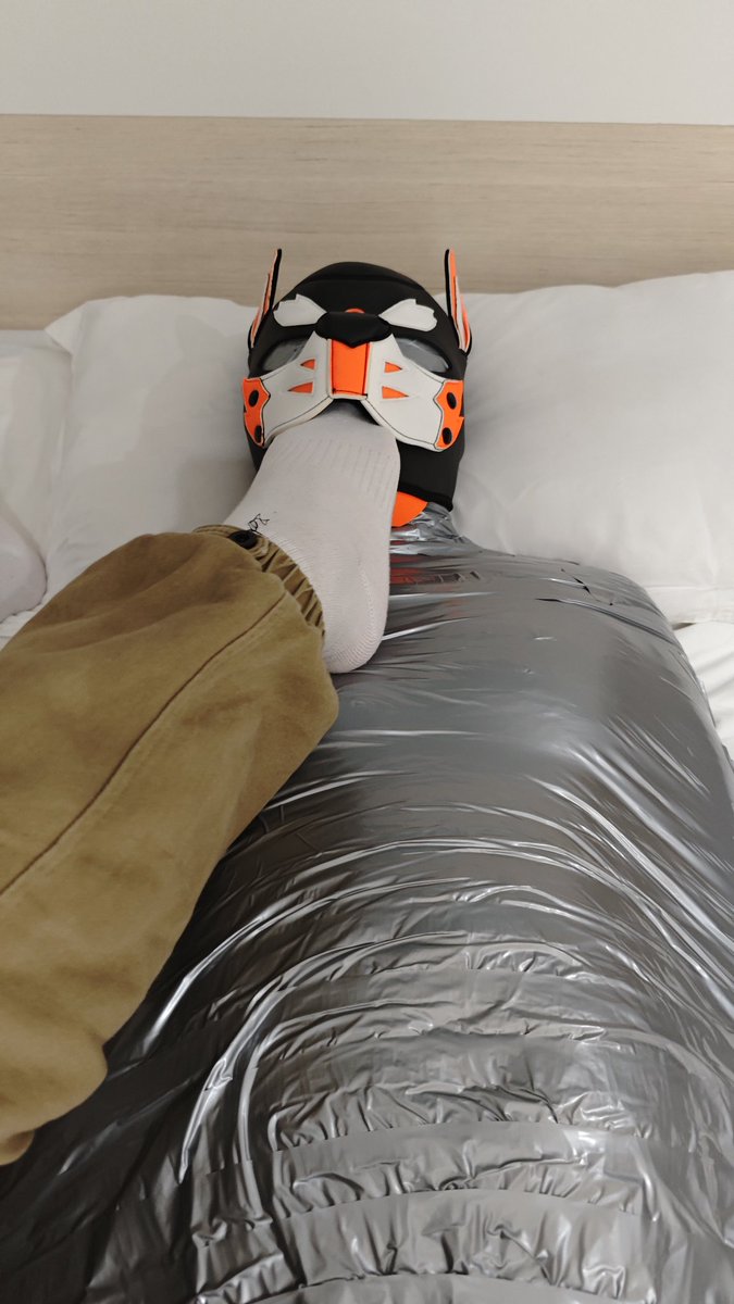 蓝蓝byl tweet media