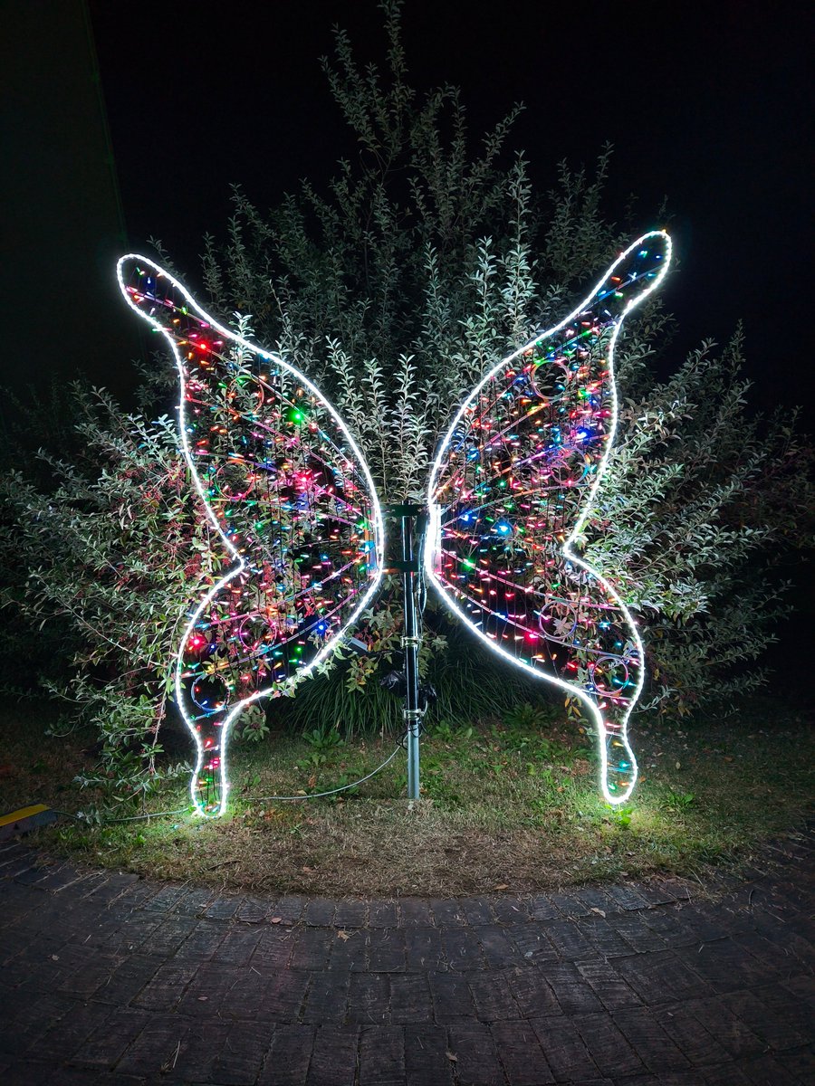 1)　夜のイルミネーション 美しいイルミネーション撮影に挑戦しよう！-斎藤巧一郎-｜フォトレシピ