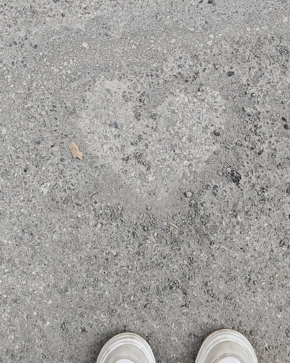 Kim bıraktı bunu buraya?