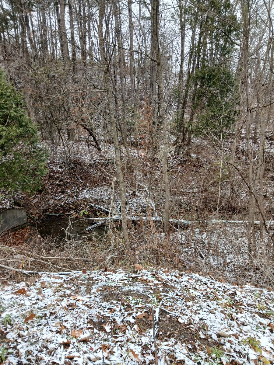 SolvesViolence's tweet image. Another lovely morning in CNY.