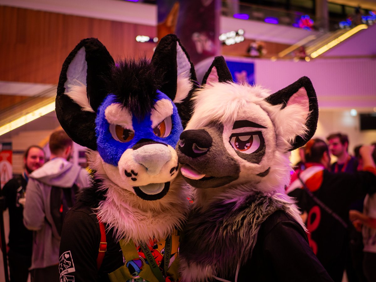 Isukan --- EF, Awoo, 2dance tweet media