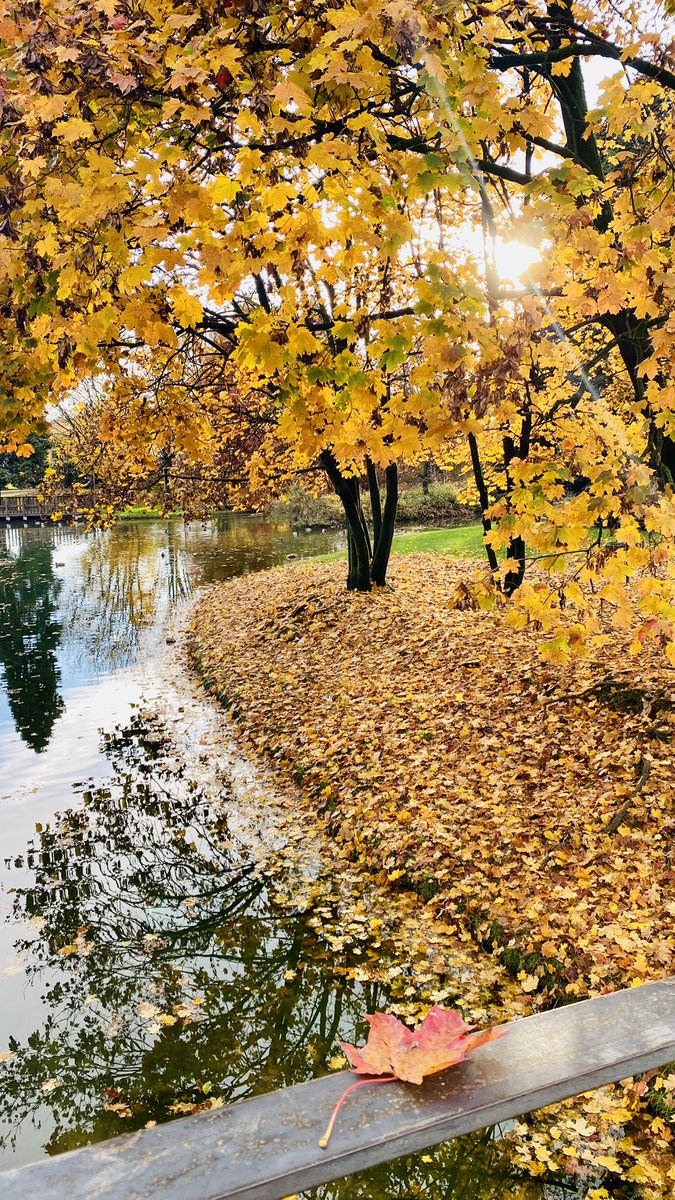 Uscire a fare una camminata in questo periodo è un sogno ad occhi aperti