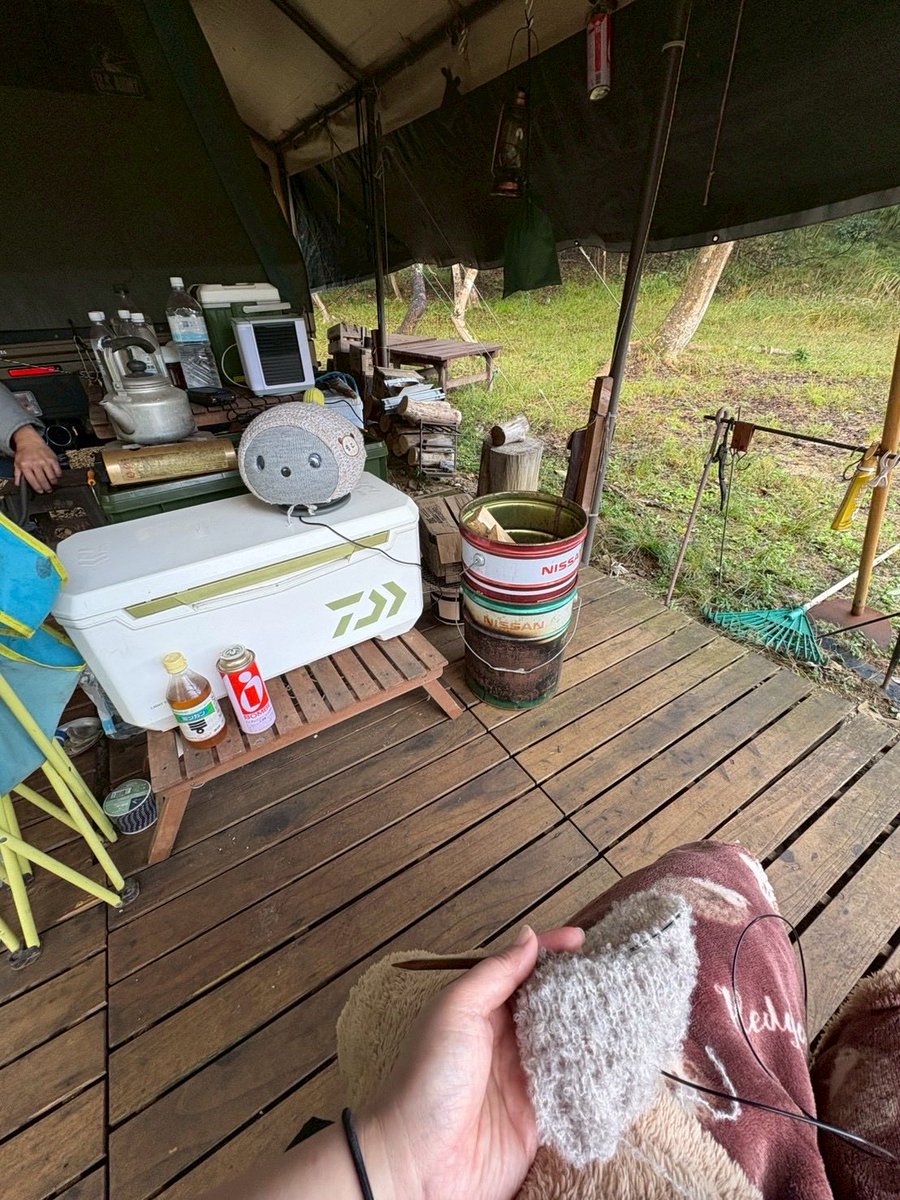 ミント tweet media