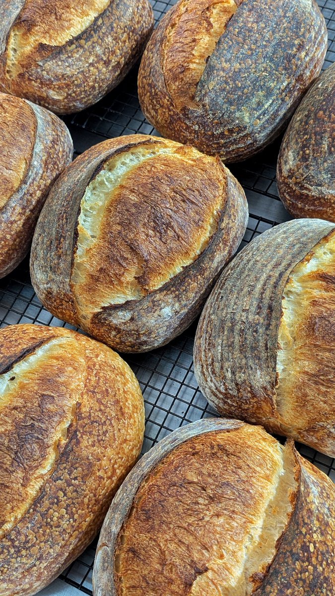 It took me donning an apron to finally get back to baking. It sucks that I don’t even remember the last time I actually baked anything, such a fun day at the <a href="/crustworthyin/">CrustWorthy Gourmet Breads</a> bakery after months