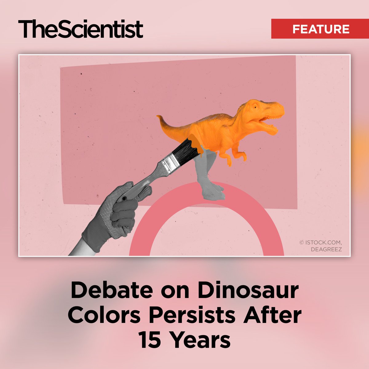 Andrea Lius tweet media