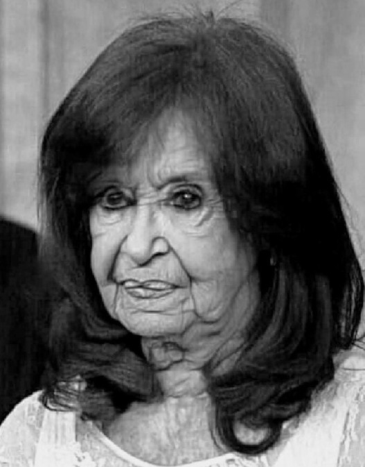 santosguillermo's tweet image. Día de la Militancia #CFK noe gustó su Gobierno, pero no puedo negar que fotogénica que es, la camara la ama...