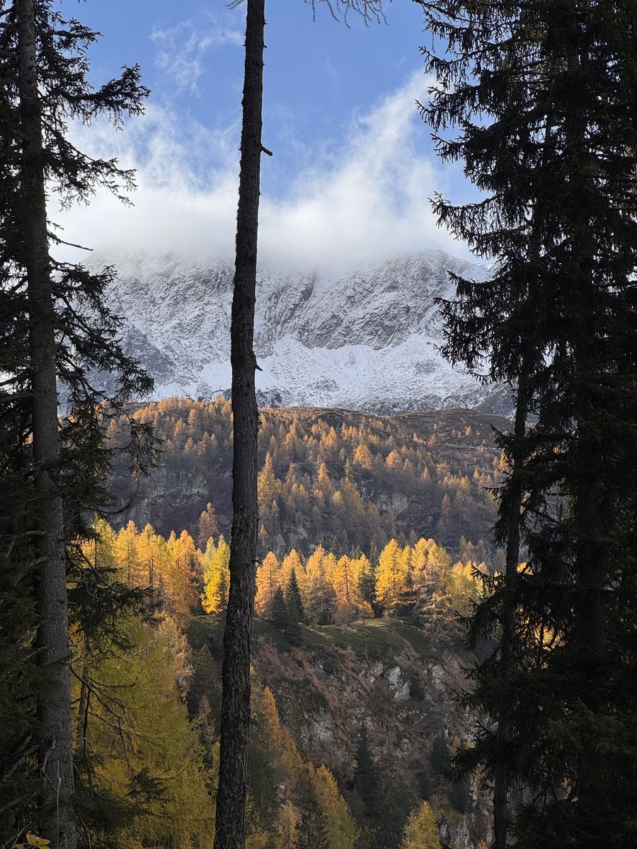 elleaur_'s tweet image. Ognuno di noi ha una quota prediletta.