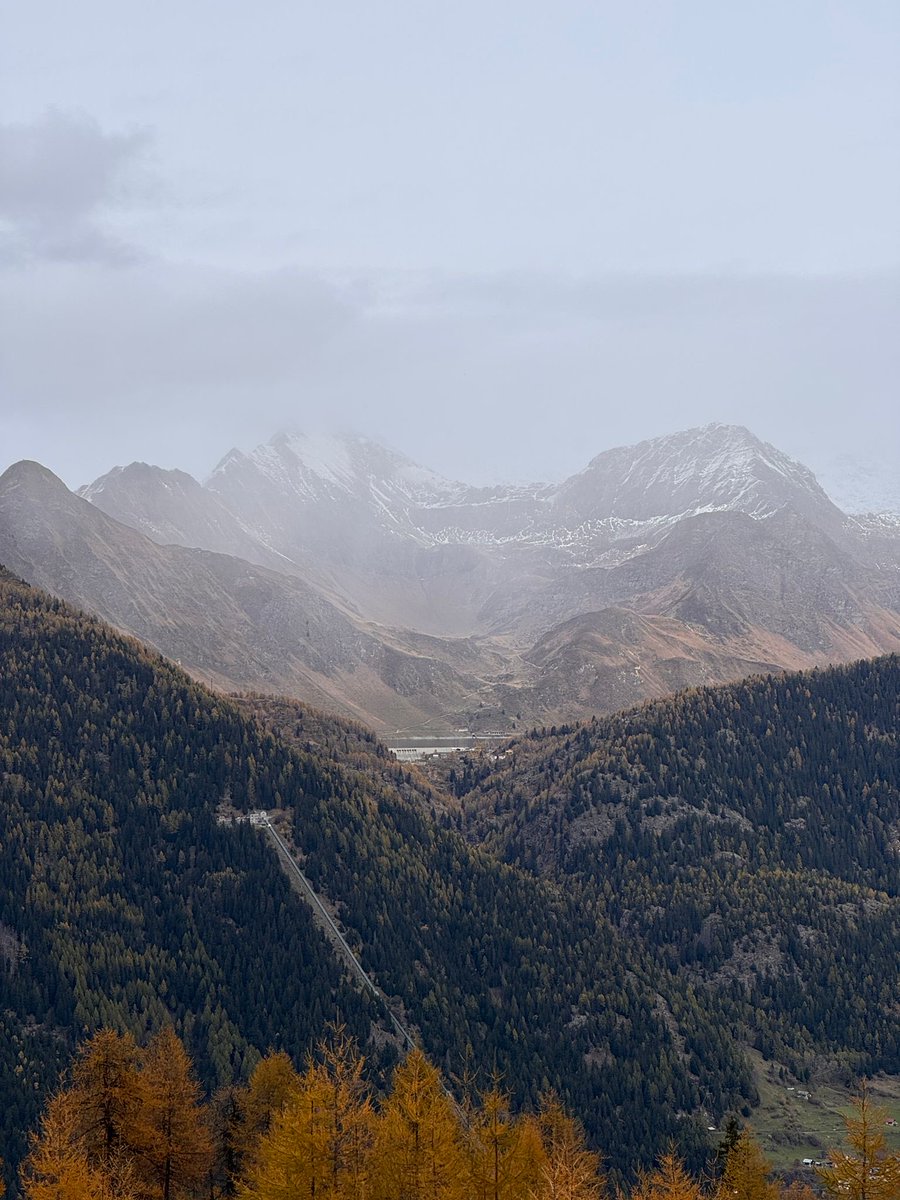 elleaur_'s tweet image. Ognuno di noi ha una quota prediletta.