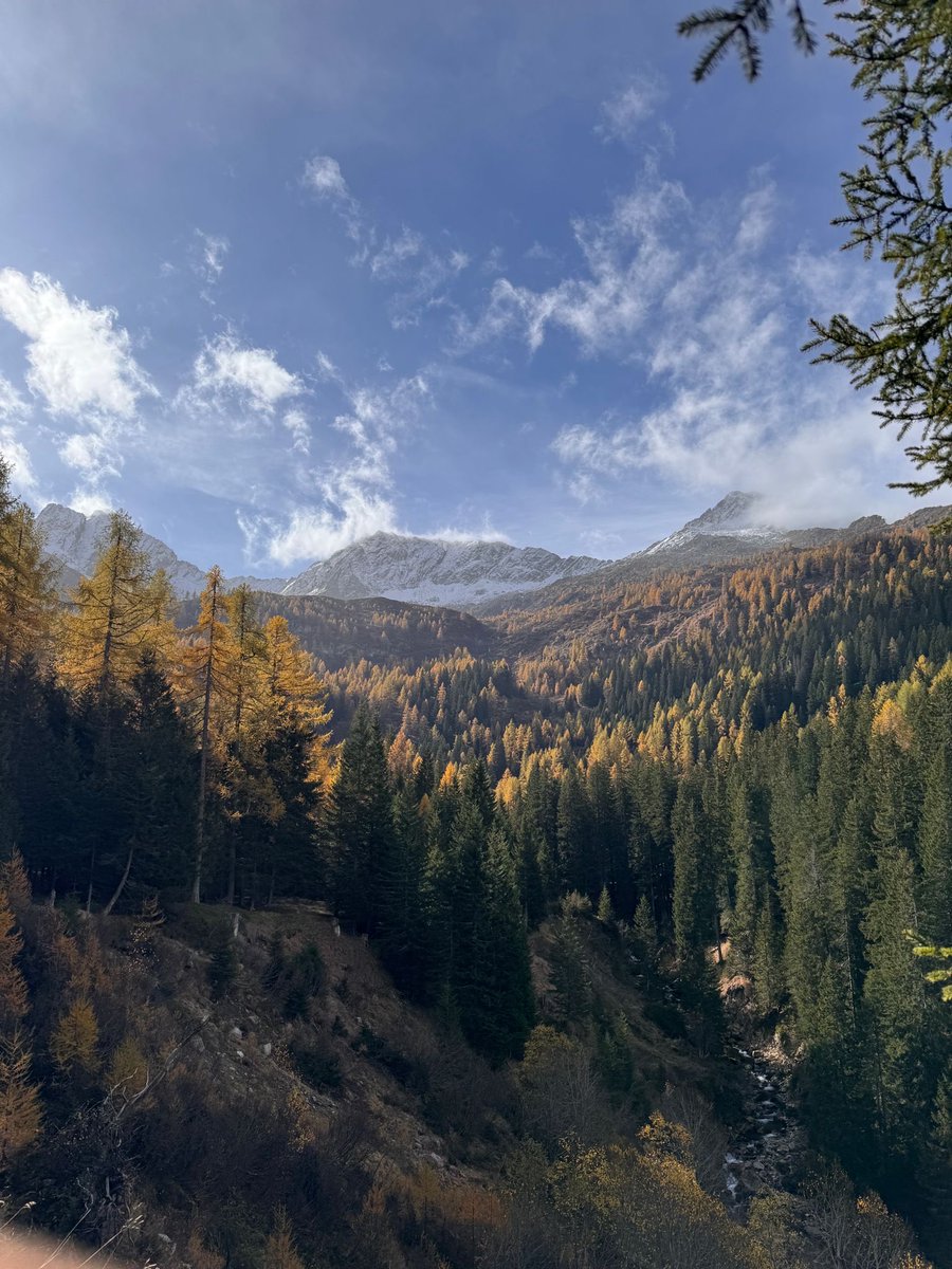 elleaur_'s tweet image. Ognuno di noi ha una quota prediletta.