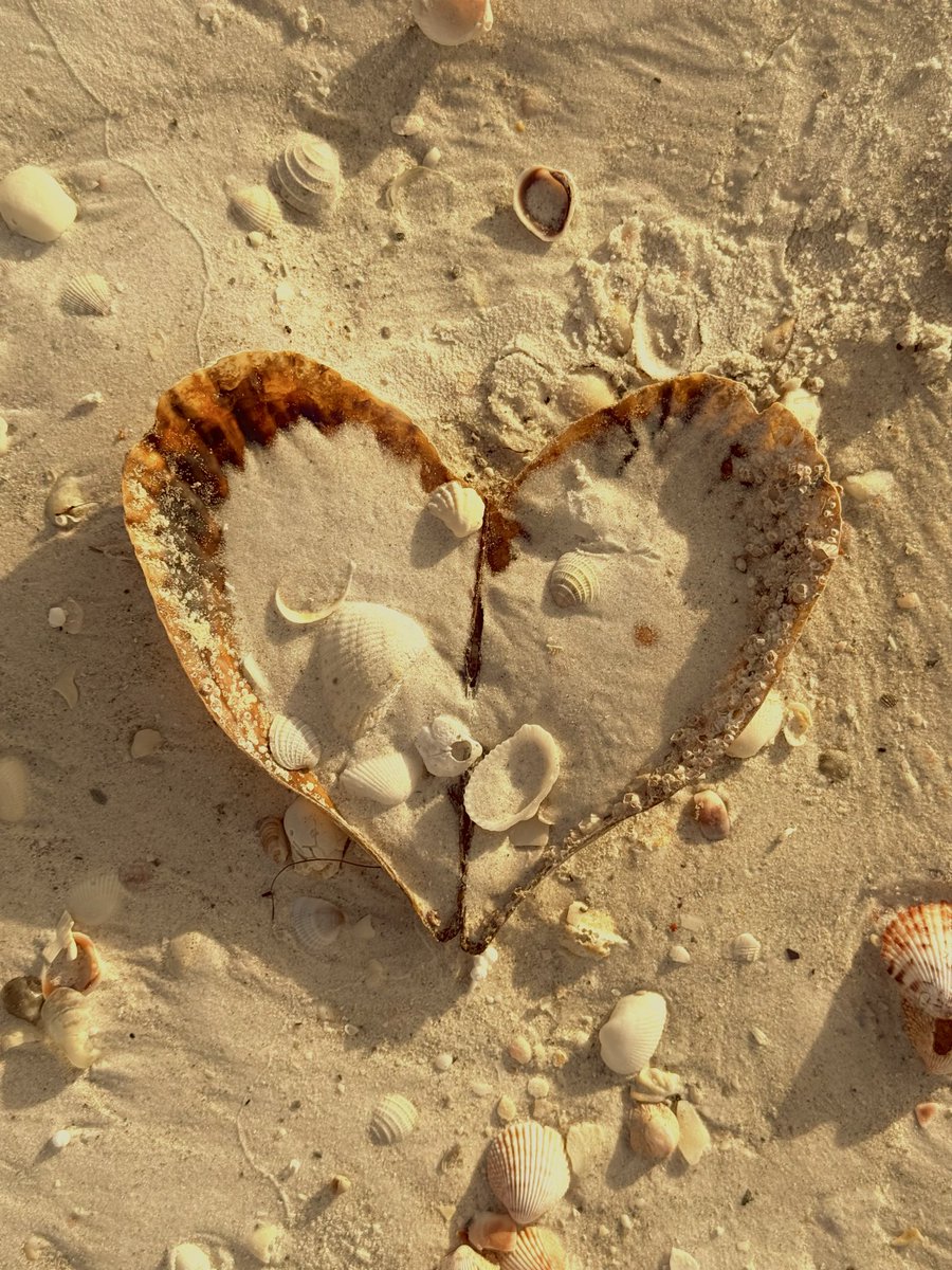 Welcome to a new week 💕

Let’s $BLOOM together