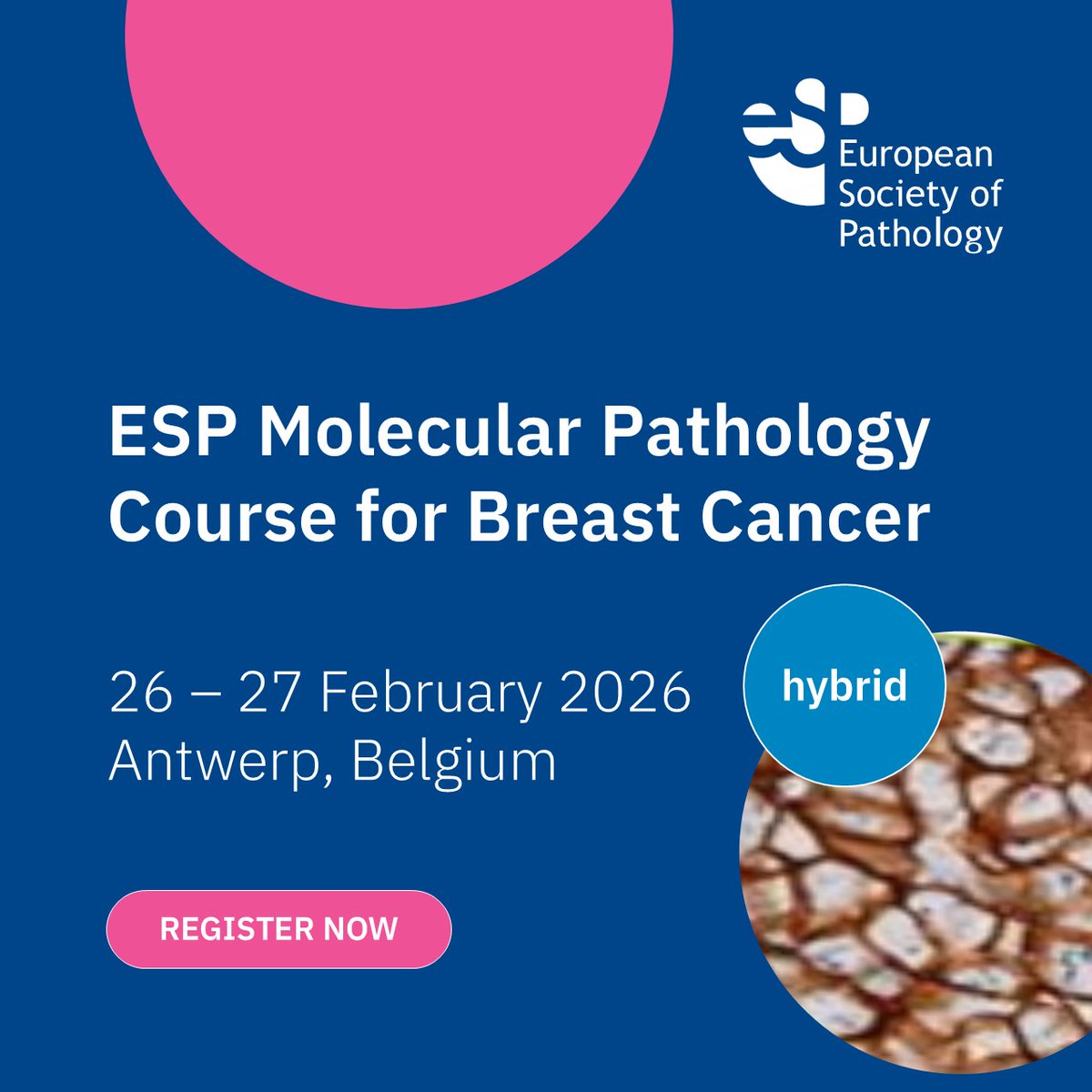 🚨Not just a new course announcement, but something hot! 🌶️🌶️
Hybrid course on Molecular #pathology for #BreastCancer! 

☑️attend in person or online!
☑️Exquisite programme!
☑️Top Faculty!
☑️Open for all HCPs working on Breast Cancer! 

esp-pathology.org/event/esp-cour…

#education #PathX