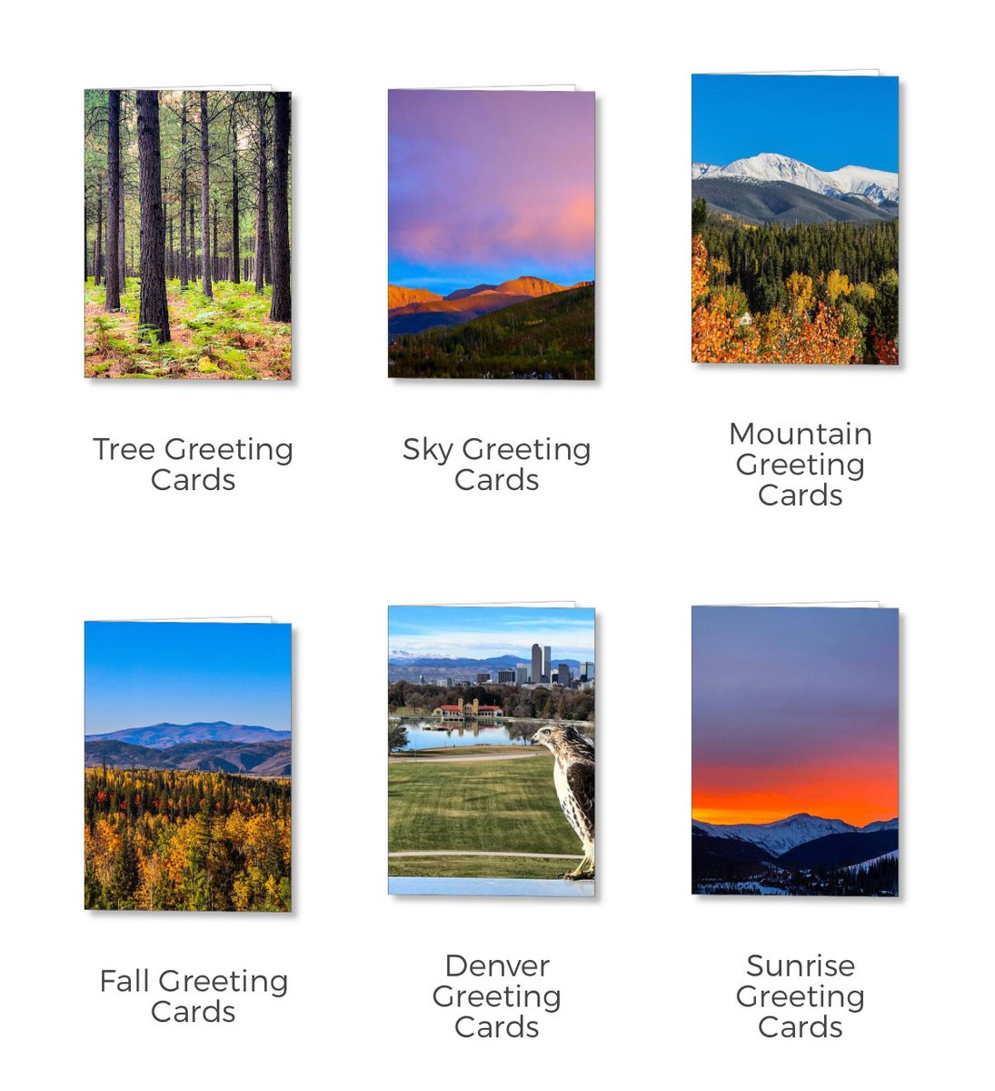 erinmdorffette's tweet image. TODAY ONLY! 25% off #sale 

faa.savingmemoriesbymakingmemories.com/shop/greeting+…

#greetingcards #notecards #holidaycards #happyholidays #holidays #LimitedTimeOffer #todayonly #limitedtimedeal