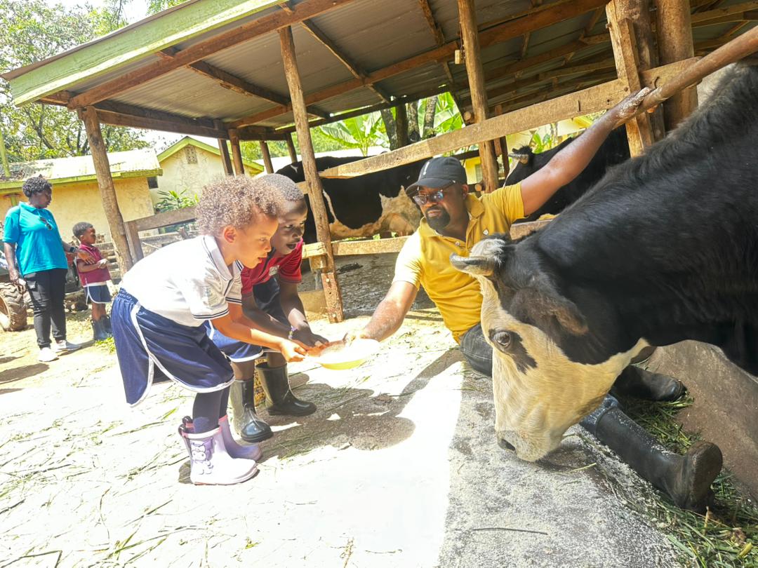 KabojjaSchool's tweet image. Our Early Years learners explored beyond the classroom!

1️⃣ Kavumba Recreation Centre: Animal interaction, play &amp;amp; curiosity
2️⃣ Anamcara Farm: Hands-on learning &amp;amp; empathy with nature

Real-world learning at its best! #ExperientialLearning #EYFS #IBPYP #LearningBeyondTheClassroom