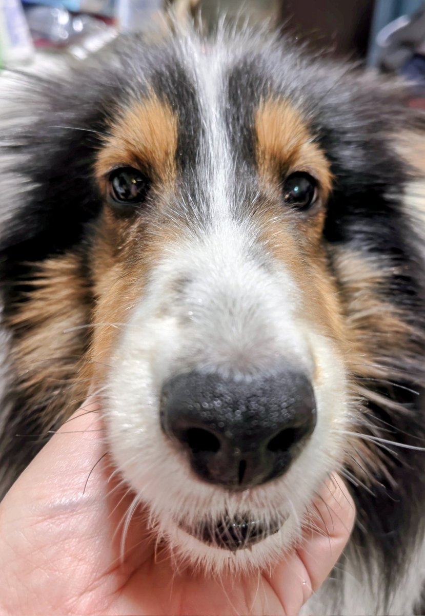 西田亜沙子 🥕 (@asakonishida) / Posts / X