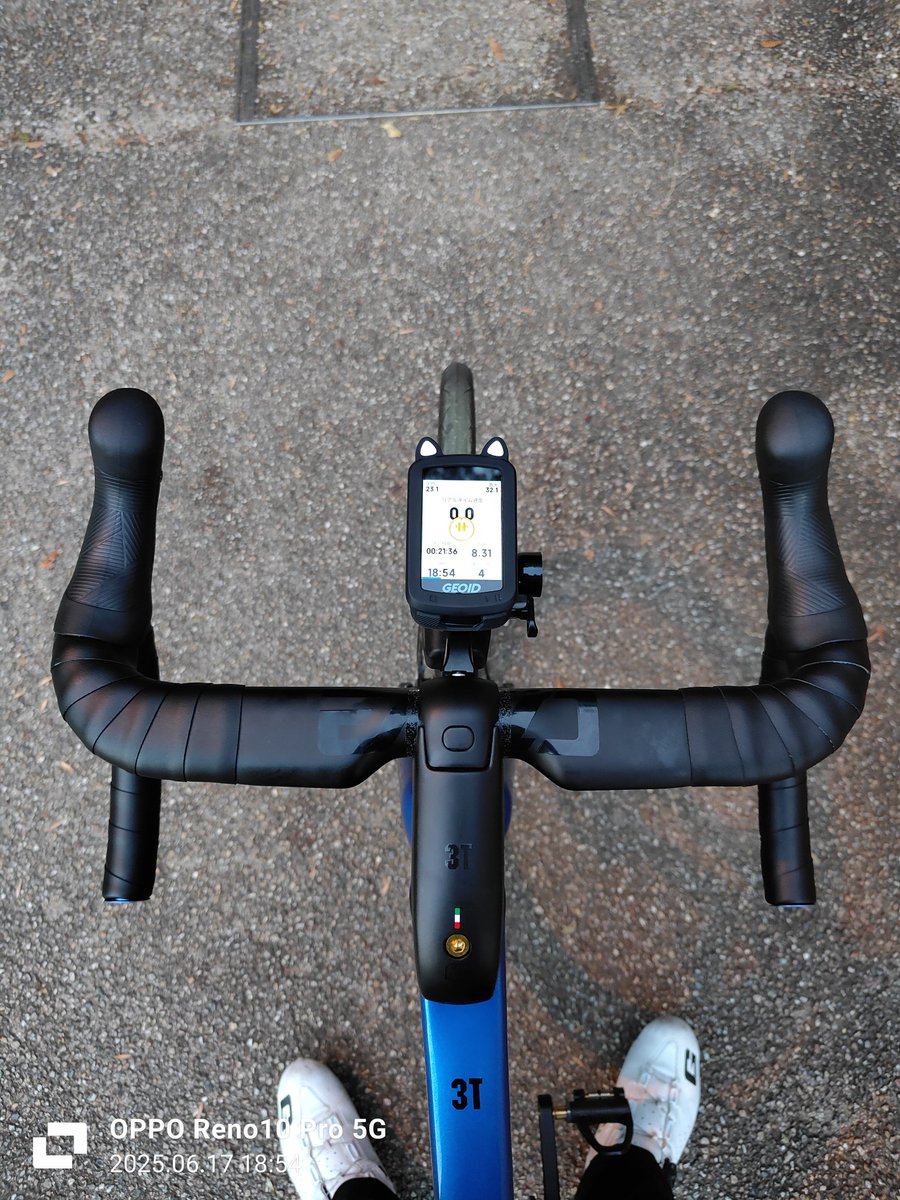 カピバラ (@CapybaraLIZED) / Posts / X