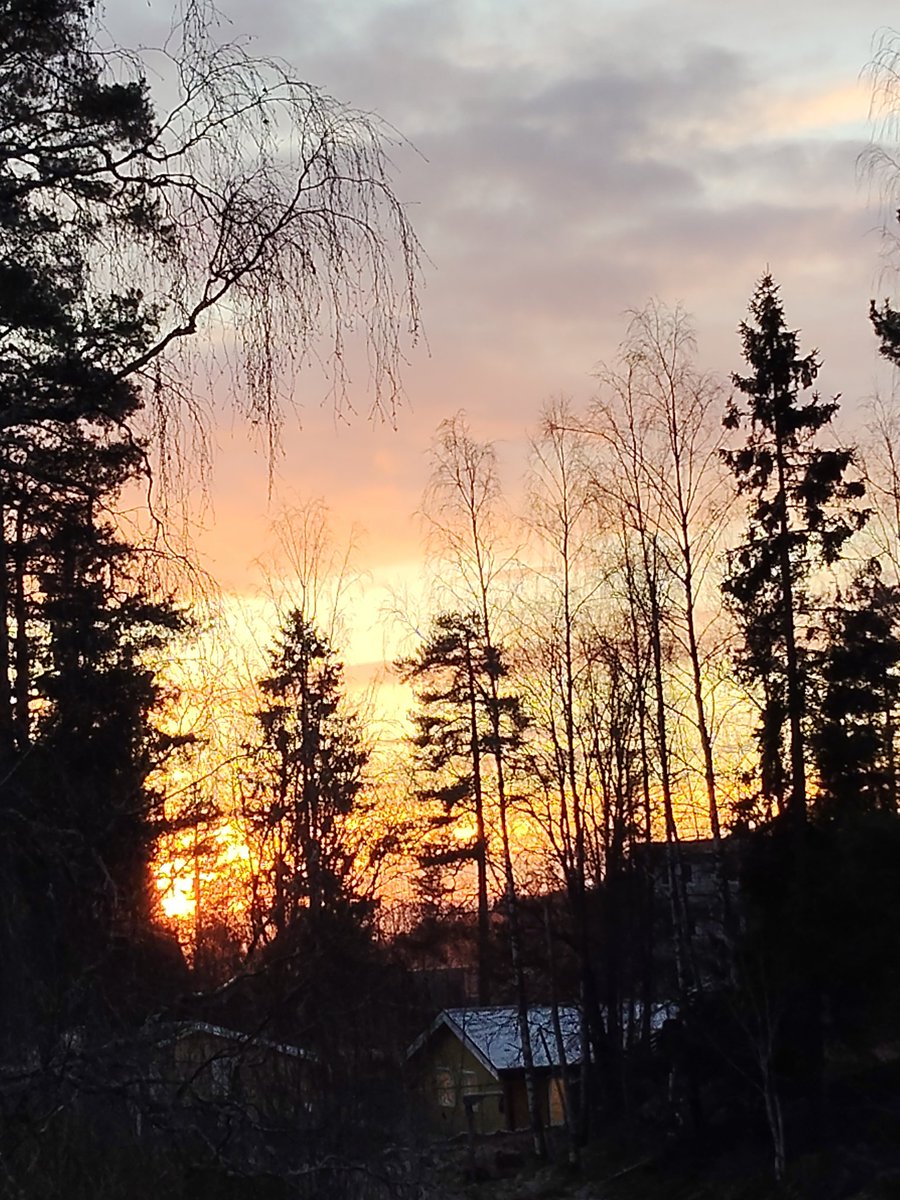 burcinnorr's tweet image. Sunshine
#Norway 
#Oslo
#vinter
