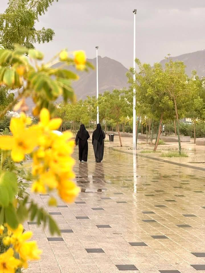 المطر في ⁧#المدينة_المنورة⁩ نعمة
 تُبهج قلوب سكانها وتُسعد زوارها.🌧️😍