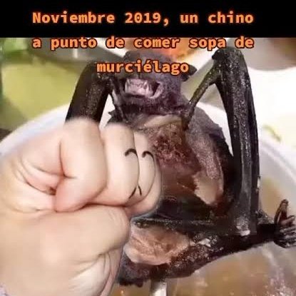 _lgontzal_'s tweet image. A esta hora, el 17 de noviembre de 2019, alguien en #Wuhan se estaba cenando un caldito de murciélago 
#COVID #PANDEMIA #MEME