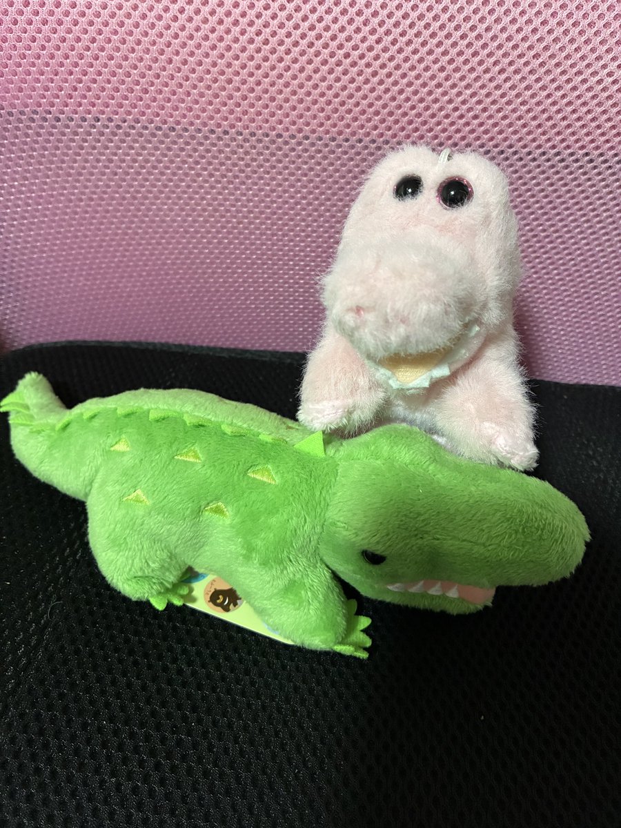 ワニちゃん 新しく来たピンクのワニさんの名前がまだ決まりません さぁ、どうしよう🐊