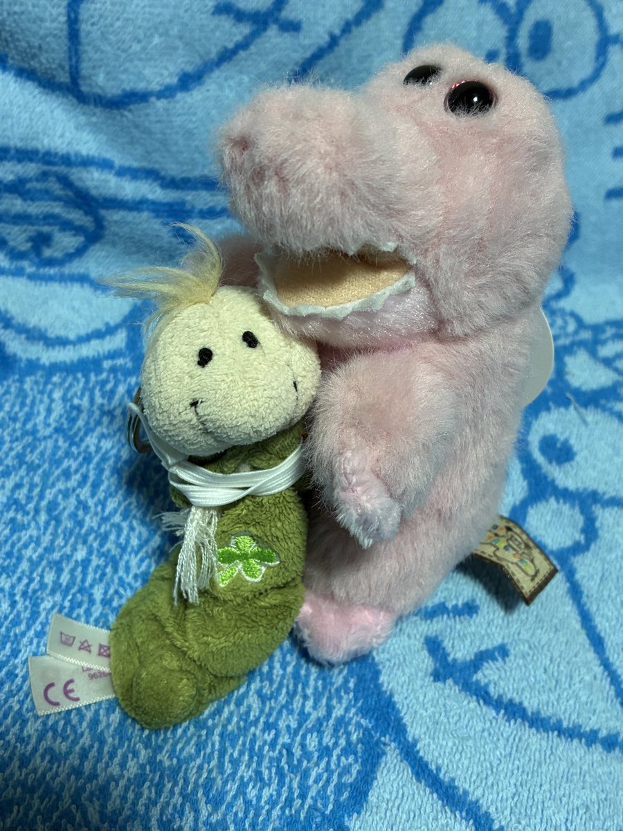 新しく来たピンクのワニさんの名前がまだ決まりません さぁ、どうしよう🐊