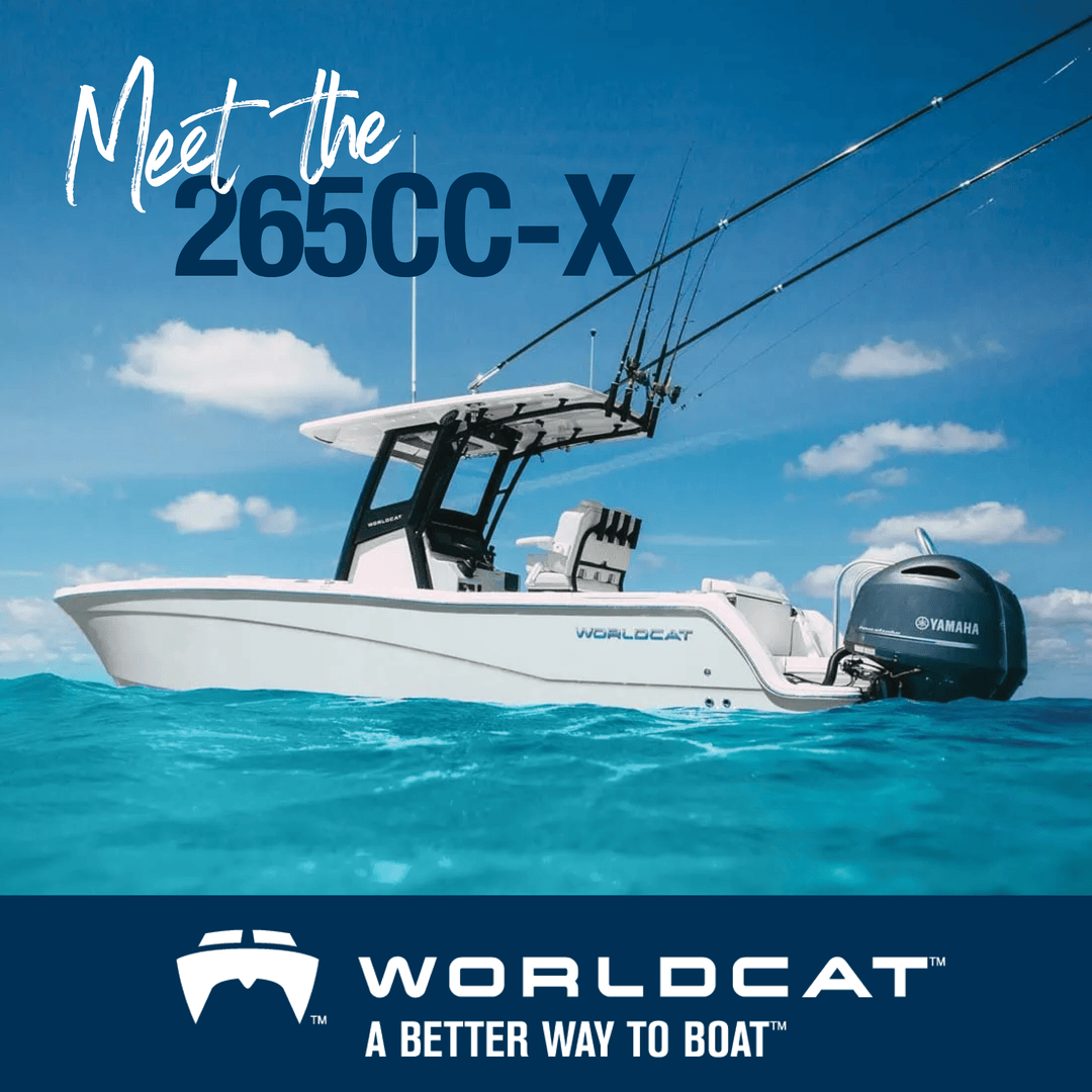 World Cat Boats tweet media