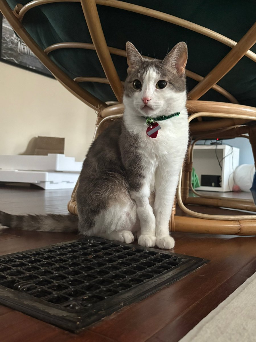 Dewey just told me “momb u posts ur fone numbr 4 every1 2 see”
Whoops! Happy Monday everyone!!