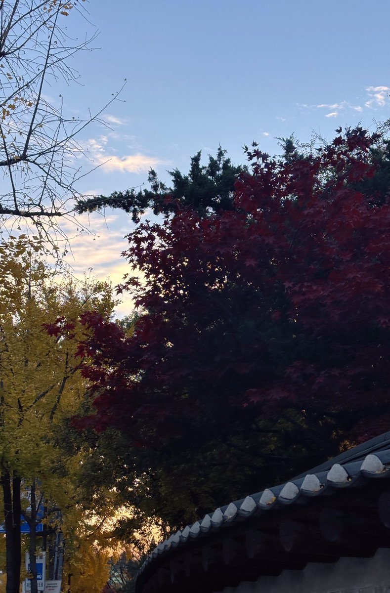 prtchey's tweet image. 가을 참 좋다 ...🍂🍁💛🤞🏻