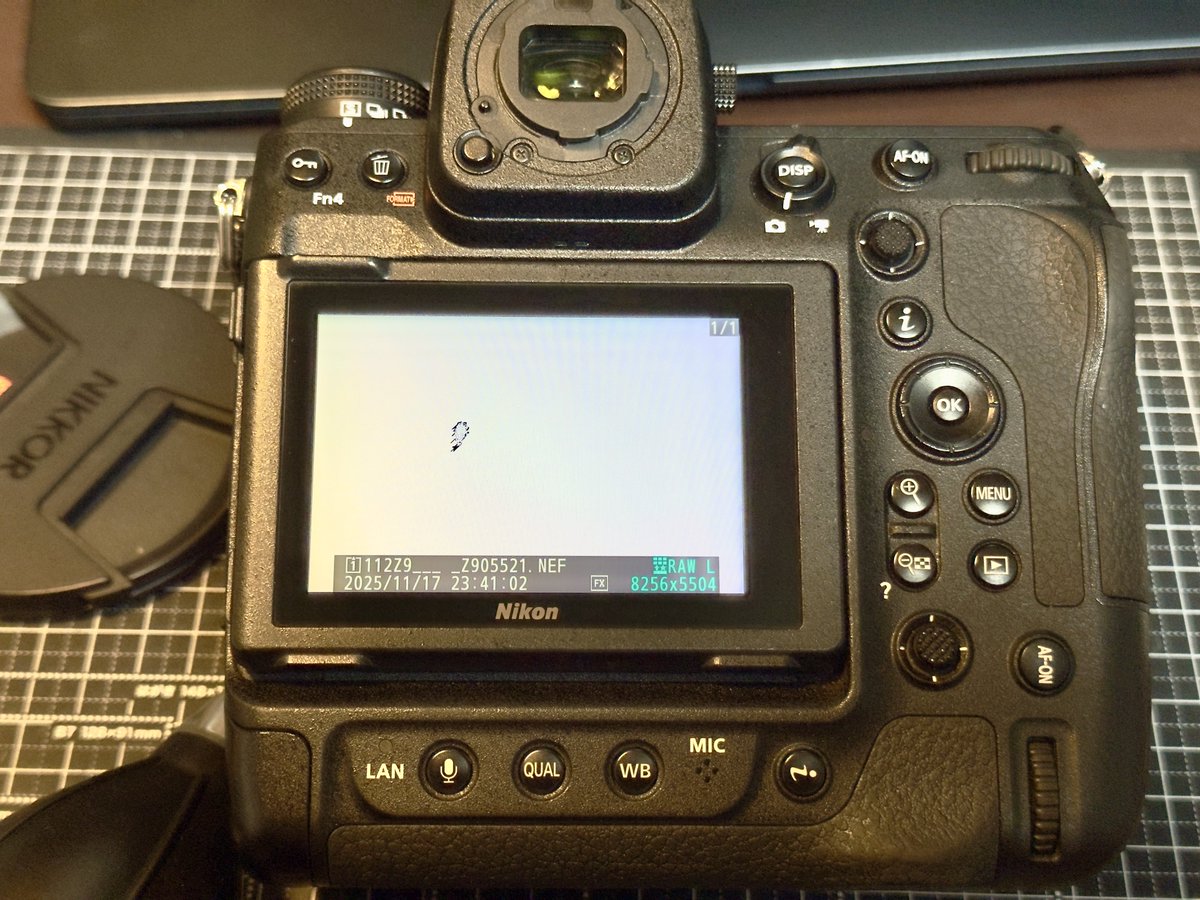 Yuki_S_Photo's tweet photo. モニターが。
撮影には影響はないけれども。修理いくらかかるだろうか。 https://t.co/EyHBQWY80p